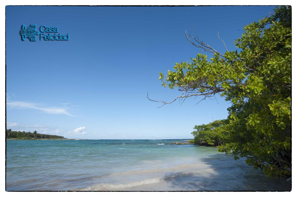 Casa Felicidad B&B Room & Kitchen ปลายาเดลการ์เมน ภายนอก รูปภาพ