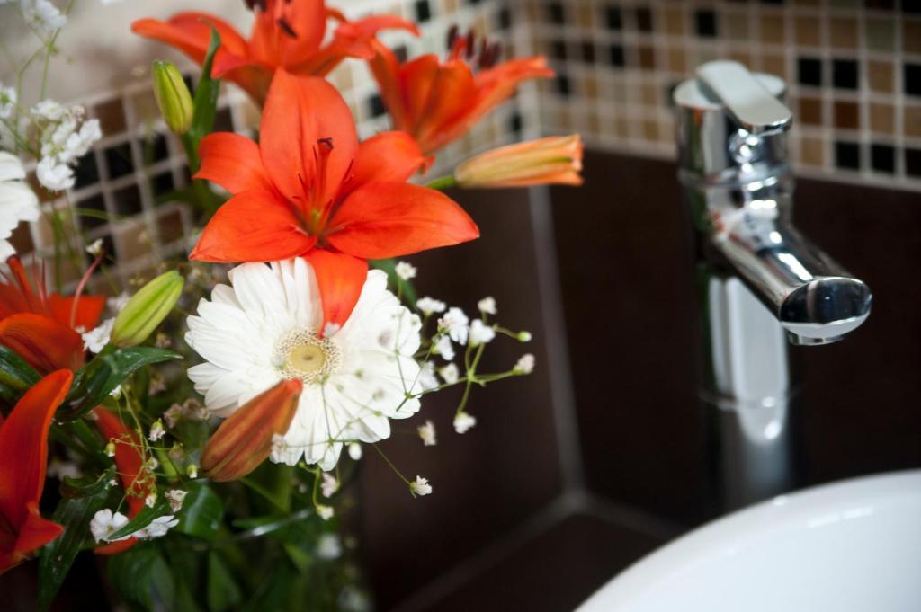 Casa Felicidad B&B Room & Kitchen ปลายาเดลการ์เมน ห้อง รูปภาพ